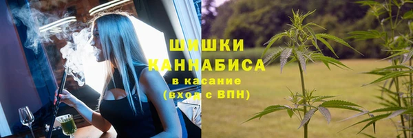 спайс Кодинск