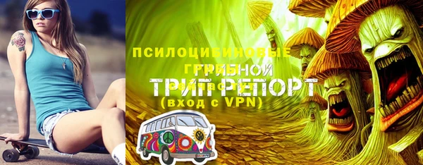 таблы Козловка