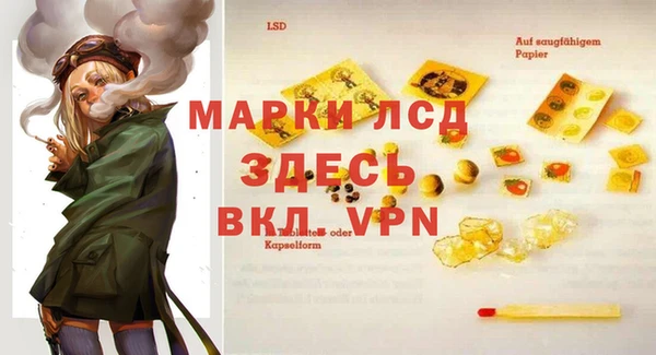дживик Козельск