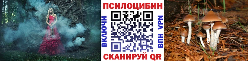 Купить  Магадан  Псилоцибиновые грибы Cubensis 